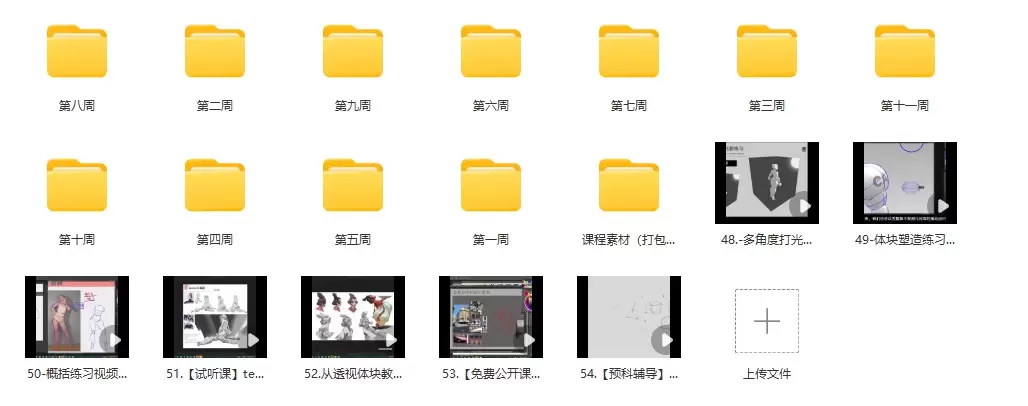 tenten云人体结构动态基础第五期2022年2