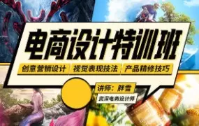 胖雪电商设计速成班画质可以含素材