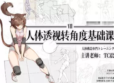 TC晨透视转角度基础课第7期2023年高清画质