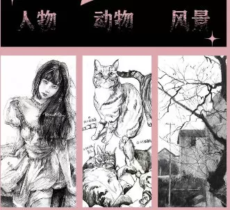 陌上人杨超零基础入门到高阶大神全体系速写素描