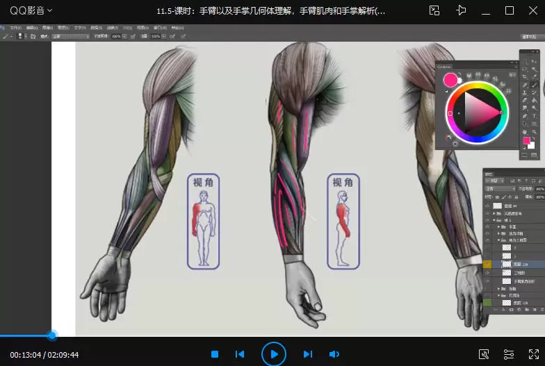大木画画人体结构第五期2022年3