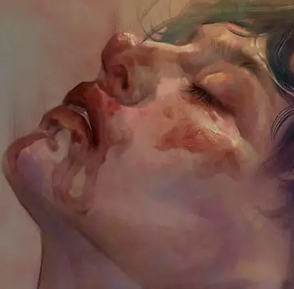 菡菡厚涂第五期ipad插画课2022年高清画质含笔刷