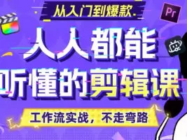 百万剪辑狮人人都能听懂的剪辑思维课2024年含素材