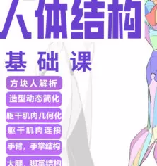 大木人体结构基础课第13期高清画质含课件