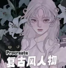 mszxxx豆子复古风人物插画课2024年高清画质