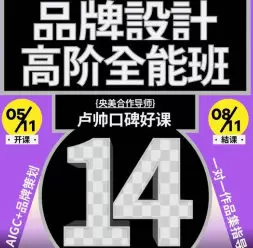 卢帅品牌设计高阶班第14期2025年高清画质含素材