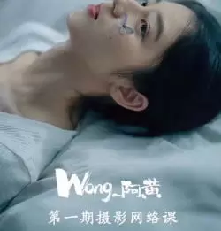 Wong阿黄摄影网络课第1期2024年高清画质