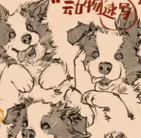 凶猛悍兔动物插画速写课2025年高清画质含笔刷素材