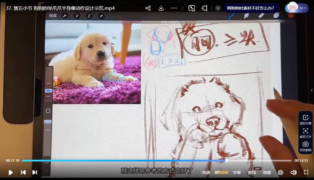 凶猛悍兔动物插画速写课2025年3