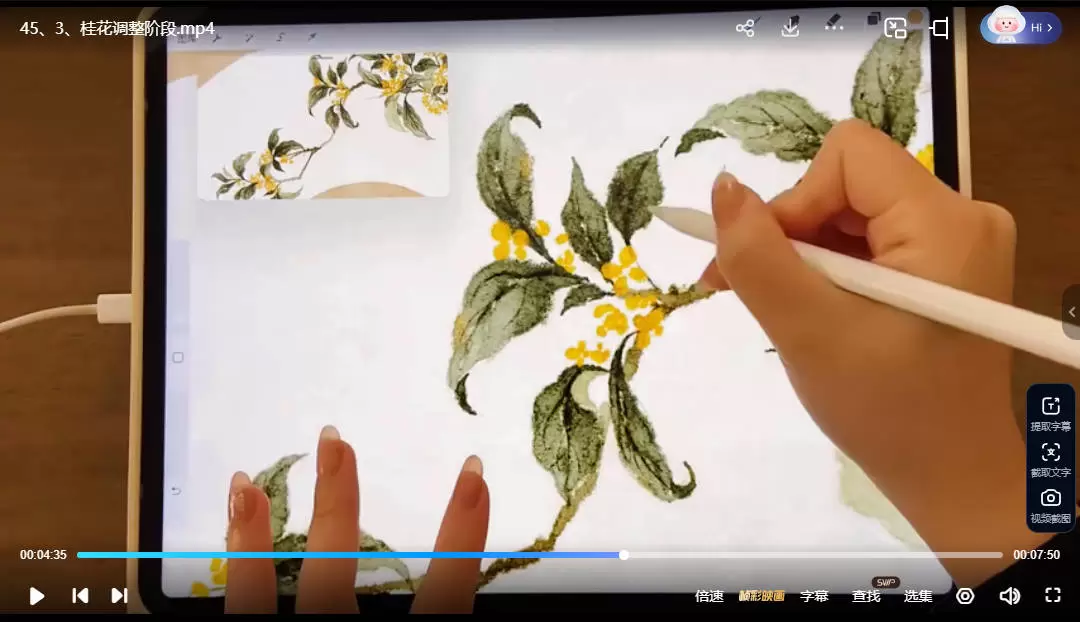 木鱼山茶iPad仿国画花卉入门团练2025年3